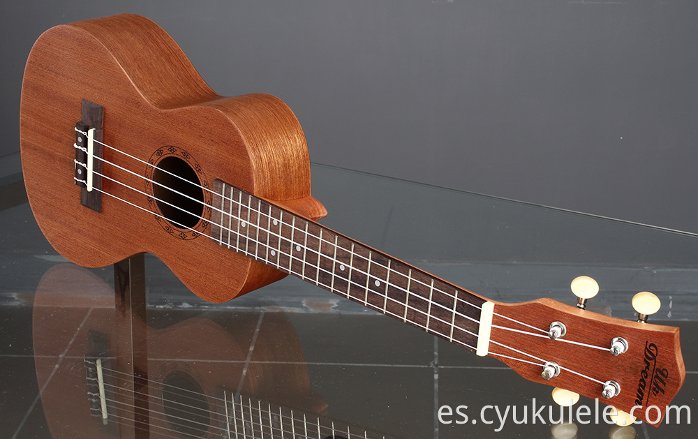 ukulele20